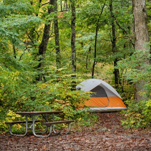 A camping scene featuring an orange and gray tent beside a picnic table, surrounded by lush green trees and foliage.