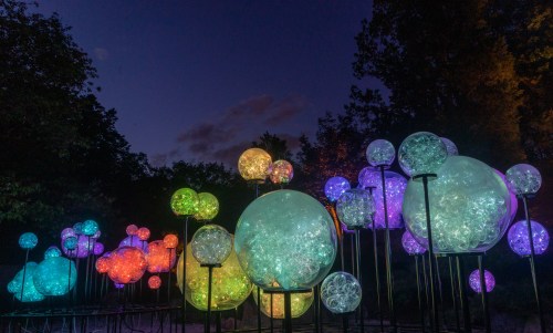 Colorful illuminated spheres in various sizes, glowing in a dark outdoor setting, surrounded by trees.