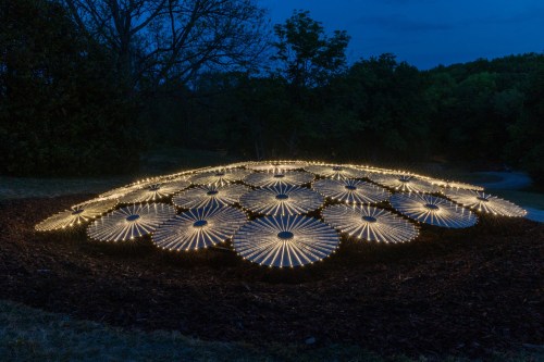 A circular arrangement of illuminated, umbrella-like structures in a dark park setting, surrounded by trees.