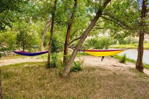 Two colorful hammocks are suspended between trees by a riverbank, surrounded by lush greenery and sandy ground.