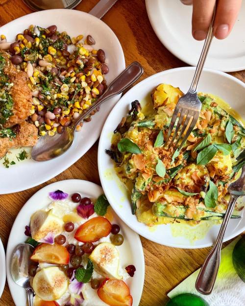 A colorful spread of dishes featuring grains, vegetables, and fresh herbs, with forks ready to dig in.