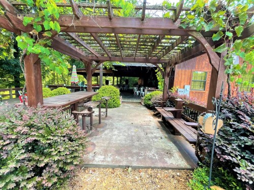 A rustic outdoor seating area with a wooden pergola, surrounded by greenery and plants, inviting for gatherings.