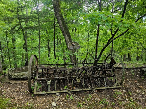 An old, rusted farming implement rests among lush green trees in a forested area.