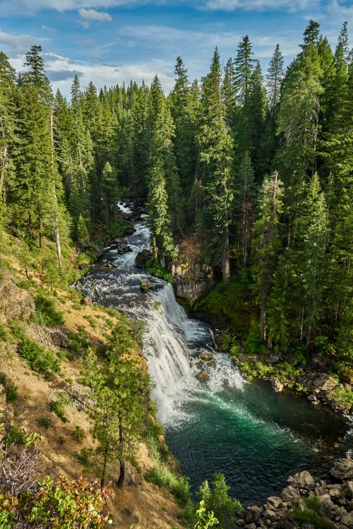 A serene waterfall cascades through lush green trees under a blue sky, surrounded by a tranquil forest landscape.