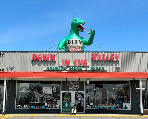 A green dinosaur inflatable atop a store front that reads "Down in the Valley" with signs for CDs and gifts.