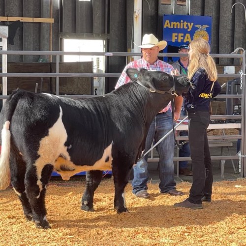 A person in a cowboy hat talks to a young woman showing a black and white cow at a livestock event.