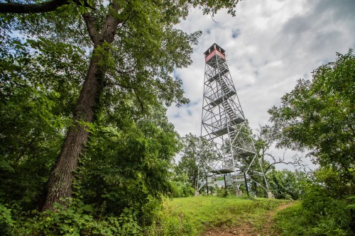 A tall fire tower stands among lush green trees under a cloudy sky, with a path leading up to it.
