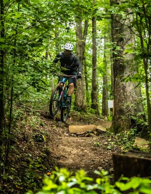 A mountain biker navigates a narrow, wooded trail surrounded by lush greenery.