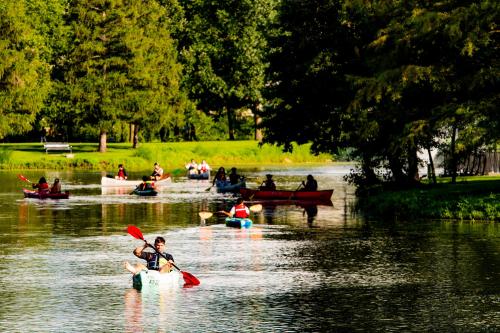 A group of people kayaking on a calm river surrounded by lush greenery and trees.