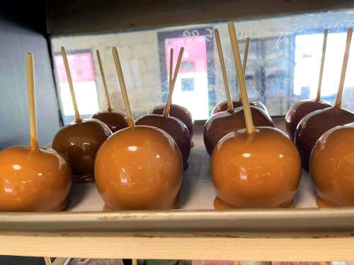 A display of caramel-coated apples on a shelf, each with a wooden stick inserted.
