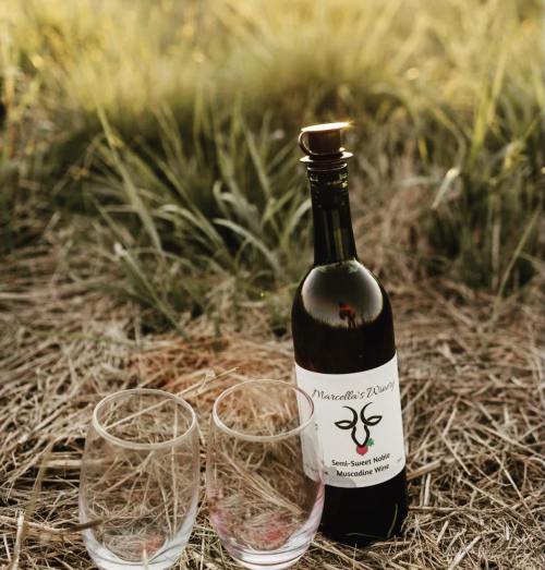 A bottle of semi-sweet muscadine wine beside two empty glasses, set against a grassy background.