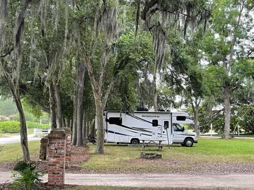 An RV parked under trees with Spanish moss, surrounded by greenery in a peaceful outdoor setting.
