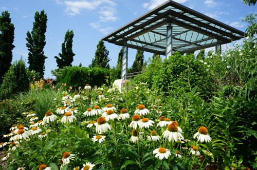 A vibrant garden filled with white and orange flowers, with a modern glass pavilion and lush greenery in the background.