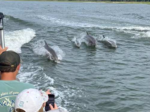 A group of dolphins swims alongside a boat, creating splashes in the water as onlookers watch from the vessel.