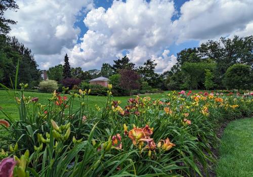 A vibrant garden filled with colorful flowers under a blue sky with fluffy clouds, surrounded by lush greenery.