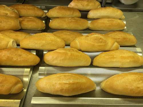 Freshly baked bread rolls cooling on a wire rack, golden brown and evenly shaped.