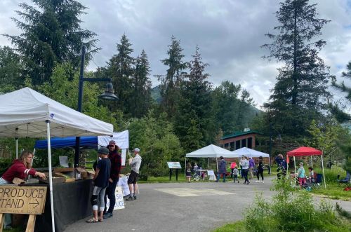 A farmers market scene with tents, vendors, and visitors among trees and mountains under a cloudy sky.