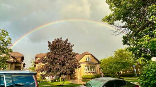 A vibrant rainbow arcs over a neighborhood with green trees and charming houses after a rainstorm.
