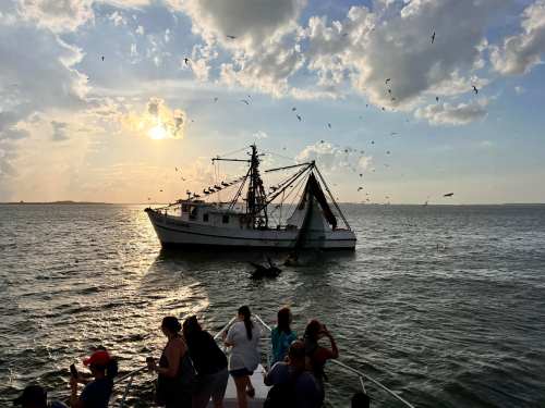 A fishing boat sails on water at sunset, with people on a nearby vessel watching and birds flying overhead.