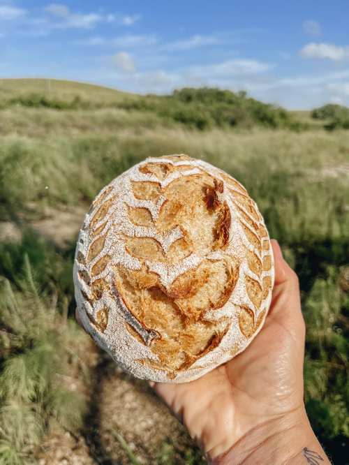 A hand holds a round, crusty loaf of bread with intricate scoring, set against a grassy landscape and blue sky.