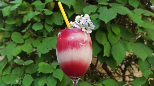 A colorful layered drink in a glass, topped with a yellow straw and small white flowers, set against green foliage.