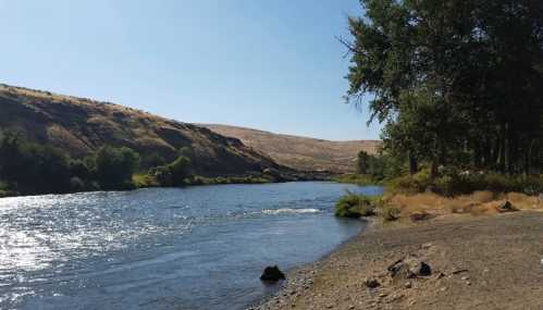 A serene river flows through a landscape of hills and trees under a clear blue sky.