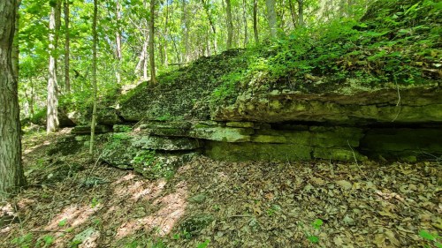 A rocky outcrop covered in moss and surrounded by lush green trees in a forested area.