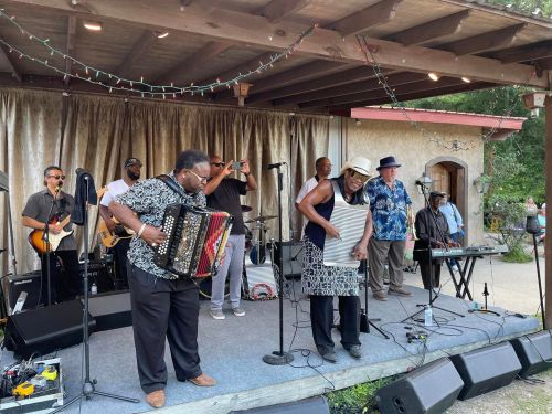 A lively band performs on stage, featuring musicians with various instruments, including an accordion and washboard.