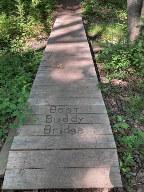 A wooden bridge in a forest, engraved with the words "Best Buddy Bridge," surrounded by greenery.