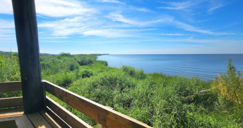 A serene view of a calm lake surrounded by lush greenery under a clear blue sky.