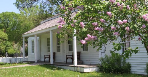 A white house with a porch surrounded by blooming lilac flowers and green grass on a sunny day.