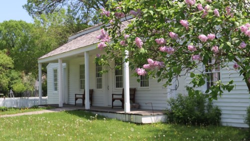 A white house with a porch, surrounded by green grass and blooming lilac flowers in the foreground.