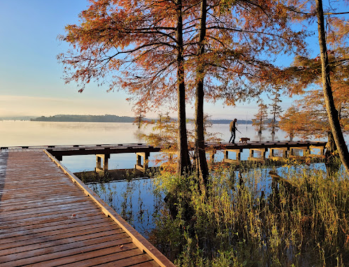 A serene lakeside scene with autumn trees, a wooden pier, and a person walking a dog along the water's edge.