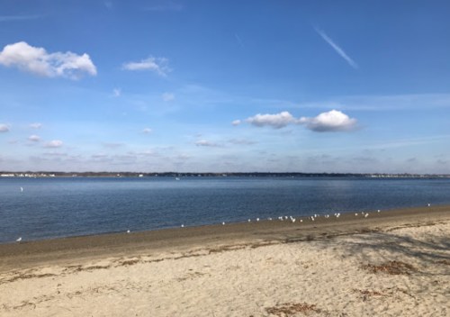 A serene beach scene with a sandy shore, calm water, and scattered clouds in a blue sky. Seagulls are visible along the shore.