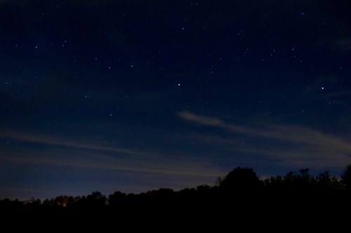 A dark night sky filled with stars and wispy clouds, with silhouettes of trees in the foreground.