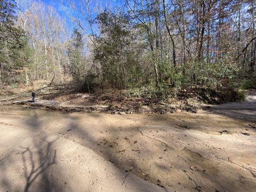 A sandy creek bed surrounded by trees, with a person walking along the bank under a clear blue sky.