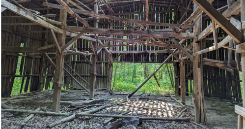 Interior of a dilapidated barn with wooden beams and overgrown greenery visible through the openings.