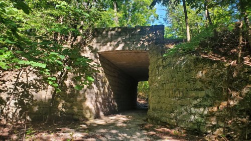 A stone archway surrounded by lush greenery, leading into a shaded path in a forested area.