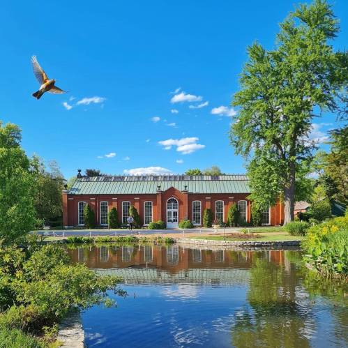 A serene landscape featuring a brick building by a pond, with a bird flying overhead and lush greenery surrounding the scene.