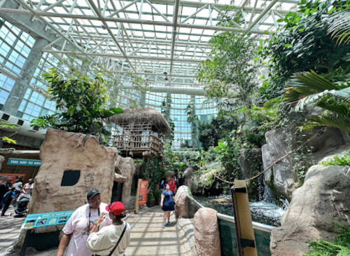 A lush indoor garden with tropical plants, a water feature, and visitors exploring the space under a glass ceiling.