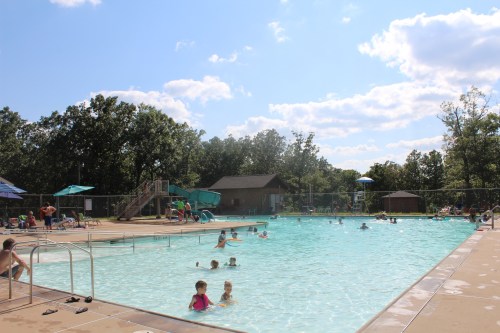 A sunny outdoor pool scene with children swimming, playing, and lounging, surrounded by trees and a slide in the background.