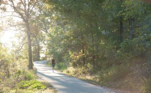 A person jogging on a sunlit path surrounded by trees in a serene, natural setting.