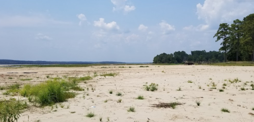 A sandy beach area with sparse grass, under a blue sky with clouds, bordered by trees in the background.