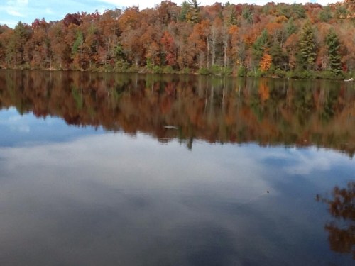 A serene lake reflecting vibrant autumn foliage and a clear blue sky.