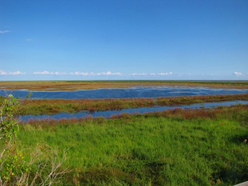 A serene landscape featuring a blue sky, green grass, and a calm water body surrounded by marshland.