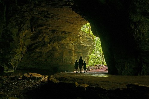 Silhouetted figures walk through a cave entrance, with lush greenery visible outside in soft, natural light.