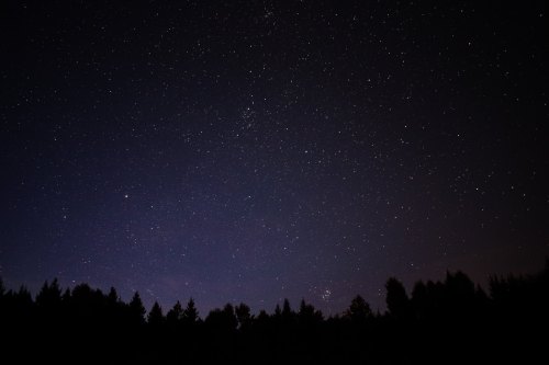 A starry night sky filled with countless stars above a dark silhouette of trees.
