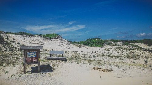 A sandy beach scene with a wooden sign and bench, surrounded by dunes and green vegetation under a blue sky.