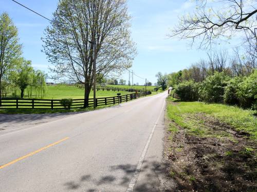 A quiet country road lined with trees, leading to green fields and a blue sky in the background.