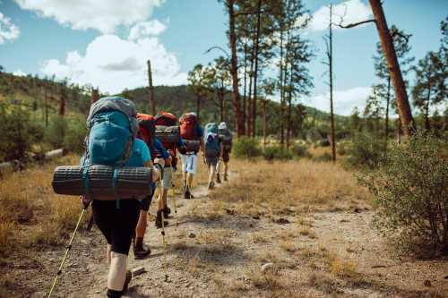 A group of hikers with backpacks walking along a trail in a forested area under a blue sky.